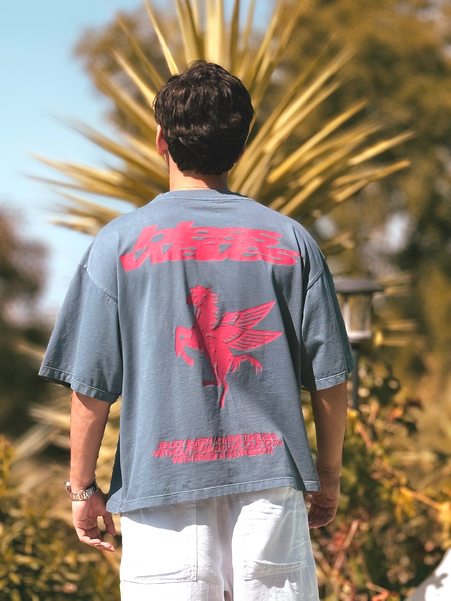 PEGASSO T-SHIRT